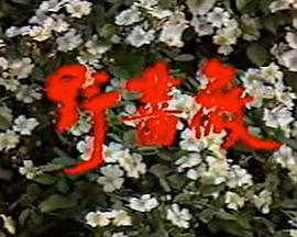 野薔薇(全集)