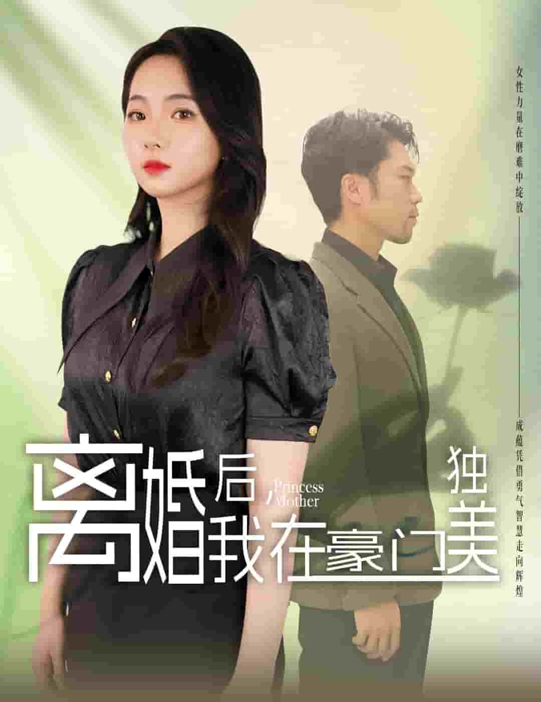 離婚后，我在豪門獨(dú)美(全集)