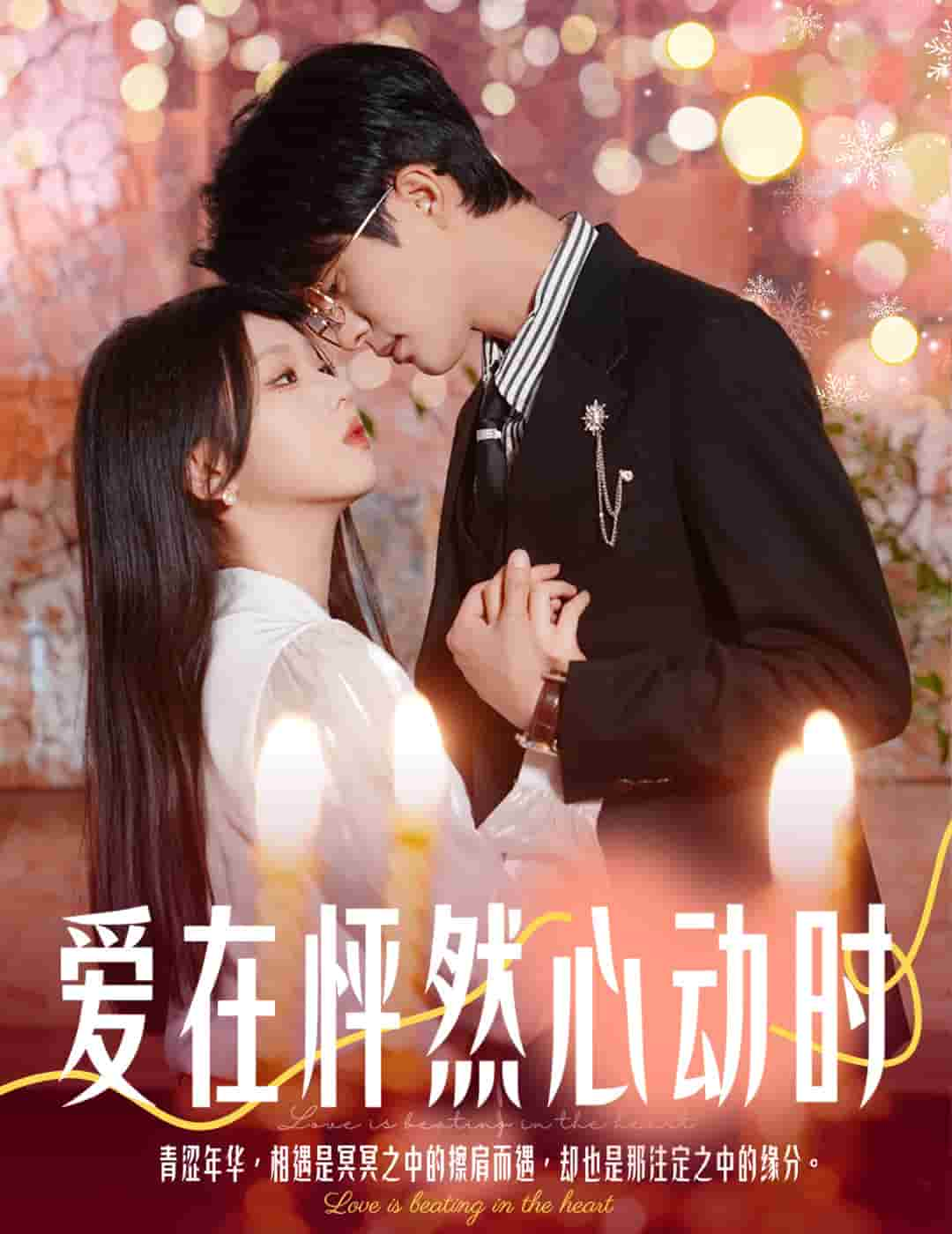 結(jié)婚你不答應離職你追什么(全集)